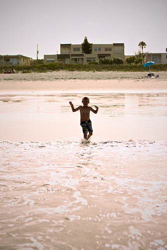 Florida 2010 6868