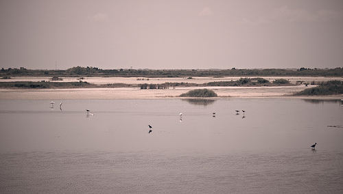 Florida 2010 7048