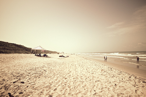 Florida 2010 7086