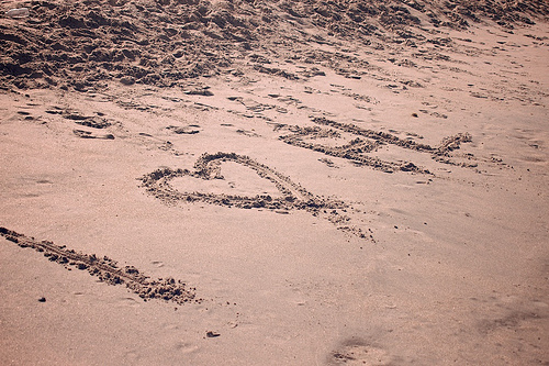 Florida 2010 7169