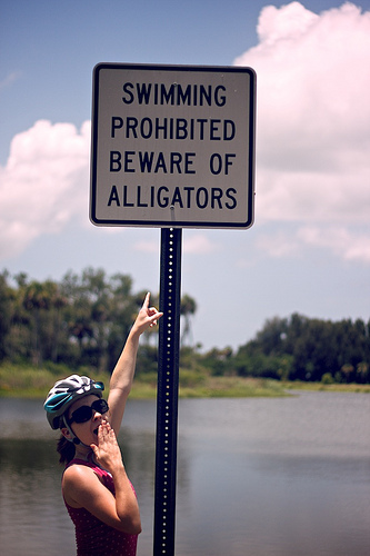 Florida 2010 7233