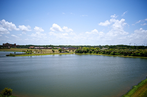 Florida 2010 7246