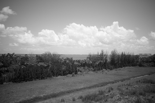 Florida 2010 7247