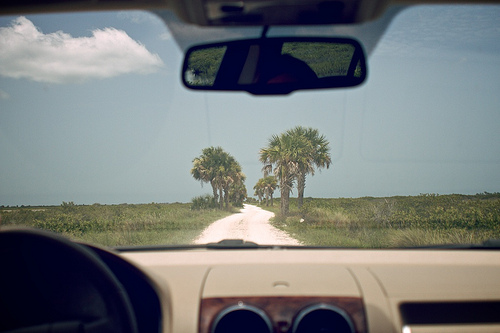 Florida 2010 7058