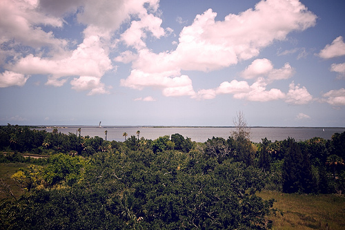 Florida 2010 7248