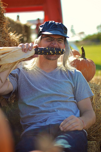 Flowers of the Field 22