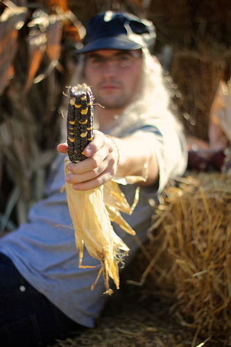 Flowers of the Field 27