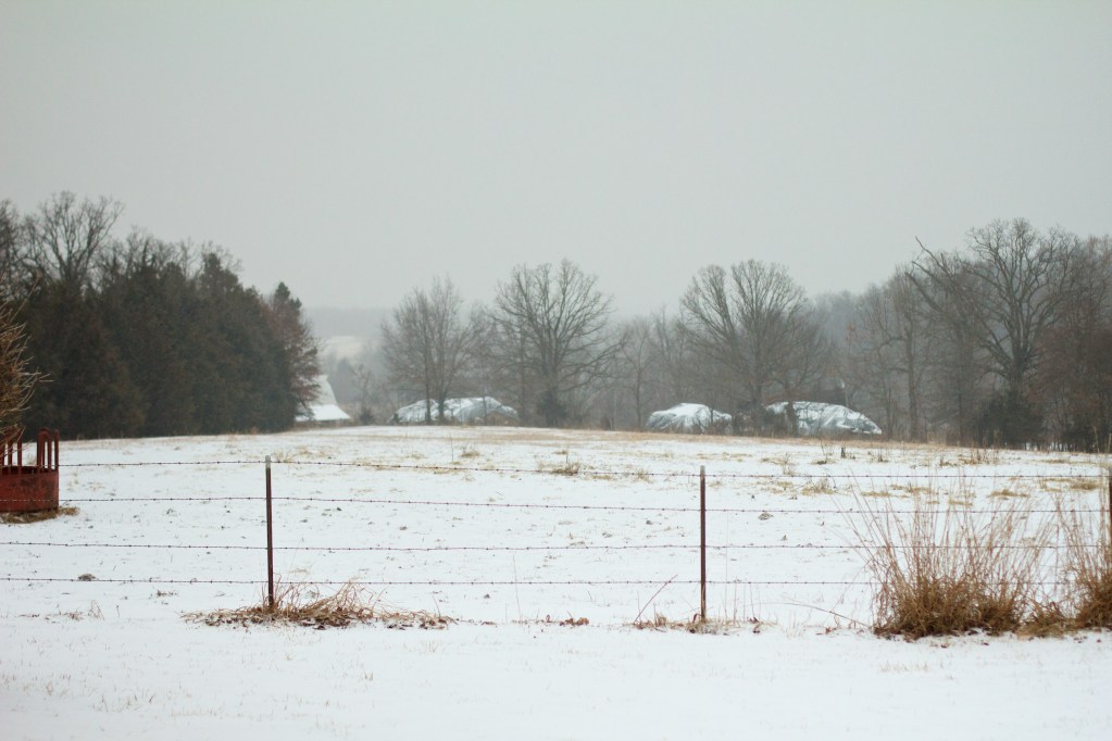 Blizzard 20